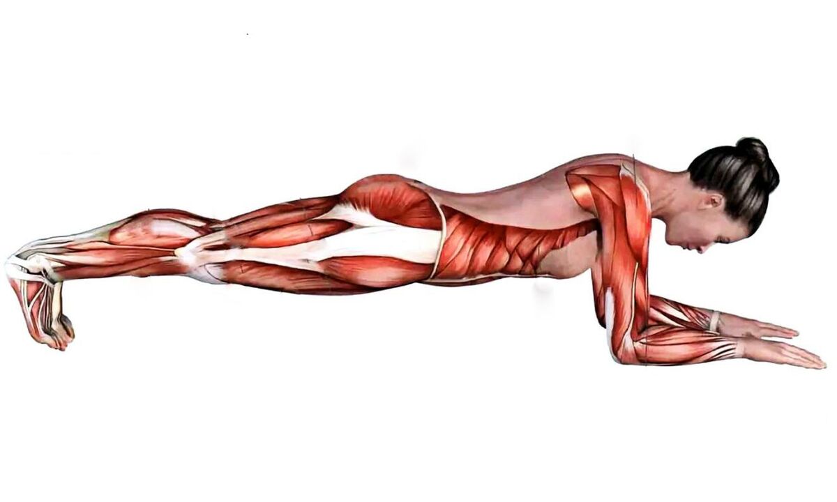qué músculos trabajan al hacer planchas